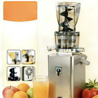 Extracteur de Jus Commercial à Chaud : Machine à Jus d'Ananas, d'Orange et de Pomme pour Stand et Magasin