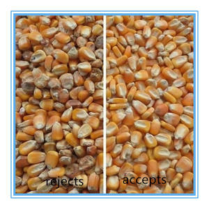 Renk sıralayıcı yeni Multimode serisi optik sıralayıcı yüksek verimli <span class=keywords><strong>CCD</strong></span> tahıl mısır renk sıralayıcı - Product Image 5