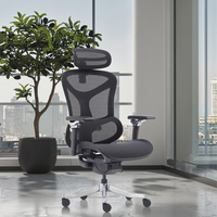 Chaise de bureau exécutive ergonomique moderne en maille, certifiée avec vérin à gaz de classe 4, support lombaire réglable et base pivotante ouverte
