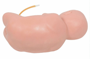 Modello di assistenza medica simulatore di addestramento del rubinetto spinale posteriore neonato per l'addestramento del reparto neonatale ospedaliero - Product Image 2