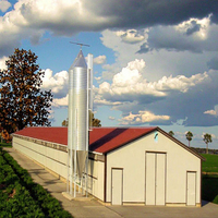 Design moderne, poulailler à structure en acier à bas prix, hangar à poulets préfabriqué, poulailler écologique