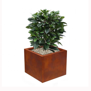 Bac à jardinage en acier corsage, de très <span class=keywords><strong>grande</strong></span> <span class=keywords><strong>taille</strong></span>, <span class=keywords><strong>rectangulaire</strong></span>, métallique, personnalisé, de haute qualité, pour l'extérieur, utilisé avec des fleurs/plantes vertes, moderne - Product Image 2