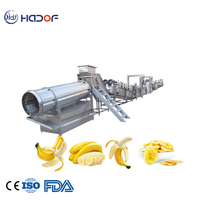 Bananenchips Fruit Snijder Schil- en Friteuse Productielijn Semi-automatisch 100kg/u capaciteit