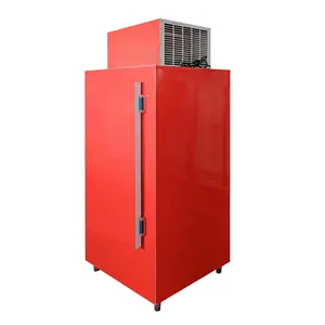 Single Door Chiller Fan Cold Storage Bag Piled Ice Bin Heladera Glass Door Standing Commercial Freezer Refrigerator