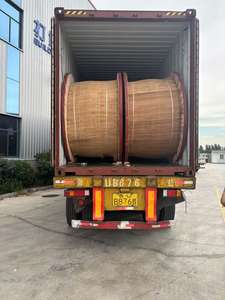 <span class=keywords><strong>Cable</strong></span> de <span class=keywords><strong>Aluminio</strong></span> de Alta Calidad YJLV de <span class=keywords><strong>50</strong></span> mm, Unipolar, Aislamiento XLPE de 0.6/1KV, Revestimiento de PVC, <span class=keywords><strong>Cable</strong></span> de Alimentación para Ferrocarriles, Marina y Minería - Product Image 5