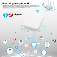 Passerelle multi-mode Tuya Smart Life ZB-WG-3, Hub sans fil ZigBee BT, Contrôleur à distance, Pont de contrôle vocal