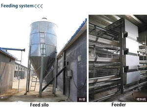 Jaula Multifuncional para Cría de Pollos, Jaula para Gallinas Ponedoras/Hueveras Tipo H de 4 Niveles, Jaula Automática para Pollos con Línea de Alimentación - Product Image 6