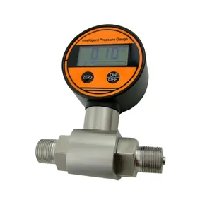 Guide You To Order The Best Precision psi Digital Fuel Oil Air hydraulic Pressure Gauge