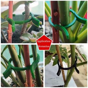 Clips de soutien pour plantes Clips de jardin en plastique Vert noirâtre Clips de jardinage pour maintenir les tiges de plantes Supports de culture de légumes - Product Image 5
