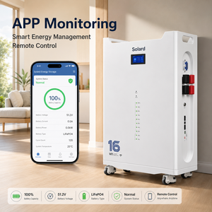 Batterie de stockage LiFePO4 solaire hybride empilable pour extérieur 16 kWh 51,2 V 314 Ah intelligente CAN/WIFI sans entretien et fiable - Product Image 3
