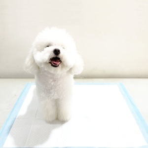 Tapis d'apprentissage jetables premium pour animaux de compagnie, épais, à séchage rapide, anti-odeurs, pour chiots - Product Image 5