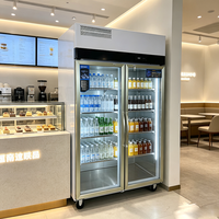 Bandeaux lumineux personnalisés sur porte vitrée, réfrigérateur vertical 150L, présentoir pour boissons et boissons énergisantes, réfrigérateur vertical