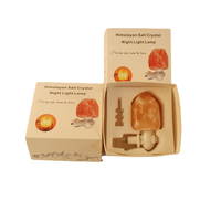Lampe de Sel de l'Himalaya Naturelle Faite à la Main, Veilleuse à Brancher, Lampe Murale à 360 Degrés, Décoration de Noël en Sel de Roche pour la Maison