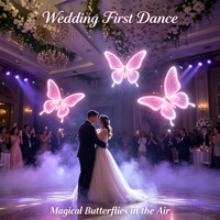 Drone Papillon Bionique Volant RC Télécommandé LED pour Scène, Événements, Mariage, DJ - Nouveauté et Vente Flash