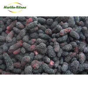 มัลเบอร์รี่แช่แข็งขายส่งแบบเป็นชุด ผลผลิตใหม่ปลูกแบบเปิดโล่ง น้ำหนัก 10 กก. LQF ผลผลิตทั้งลูก ผลิตจากมณฑลซานตง ประเทศจีน - Product Image 2