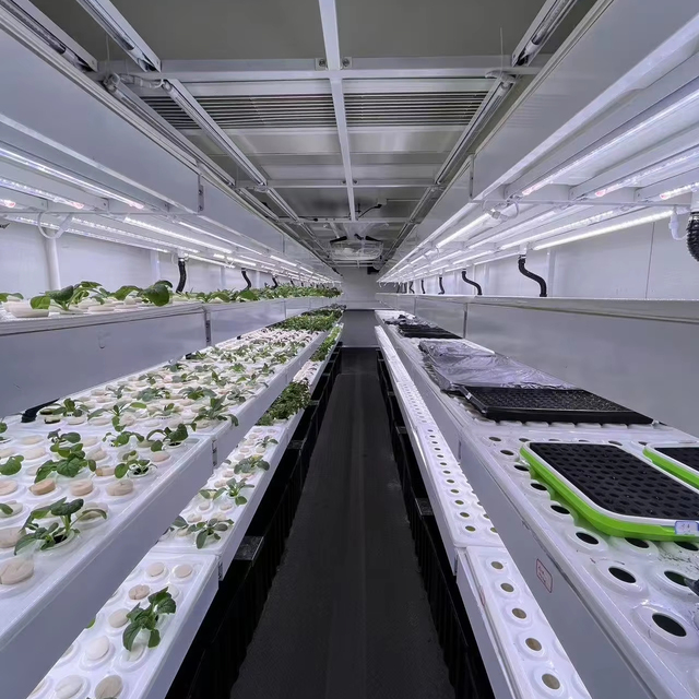 Automated Grow Container Planting Equipped with HVAC for Modern Agricultural Greenhouse Production