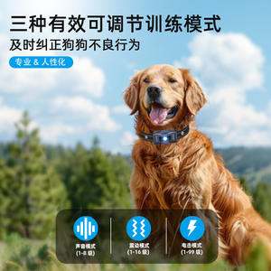 Collier d'entraînement pour chien SmartPet avec télécommande, dispositif de dressage électrique rechargeable pour chiens avec écran LED et réglable - Product Image 5