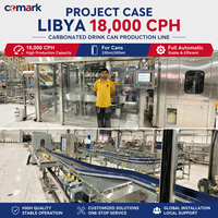 Ligne de production complète et équipée pour le remplissage et le scellage de canettes de bière et de jus de fruits