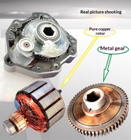 Motor para Cortacésped de 4 Ruedas con Tracción en las 4 Ruedas, de CC, con Imán Permanente Cepillado, Alto Torque, Eléctrico, con Engranajes, 24V 12V 48V 350W 600W 800W, IP65, 19.1Nm