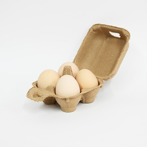 Carton à œufs en papier standard américain à <span class=keywords><strong>12</strong></span> alvéoles, durable, avec 6/10/18/20 trous, emballage pour œufs en pâte recyclée pour ferme biologique - Product Image 4