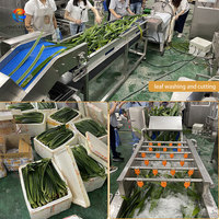 Línea de Lavado, Corte y Secado de Vegetales de Hoja Pequeña y Mediana, Máquina Procesadora de Vegetales Personalizada de 500-1000 kg/h para Ensalada, Rúcula y Pimiento