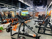Machine de musculation professionnelle pour salle de sport, équipement de fitness, fabrication chinoise, nouveau design, banc plat durable