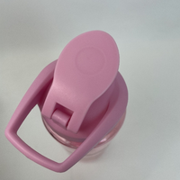 Bouteilles d'Eau de Sport Givrées en Tritan Sans BPA de 500ML et 700ML pour Voyage en Extérieur, Large Goulot, avec Logo Personnalisé