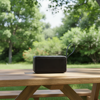 Enceinte portable Admirer 12W pour V5.0 avec entrée USB et AUX, boîtier en bois, micro intégré, utilisation extérieure, noir