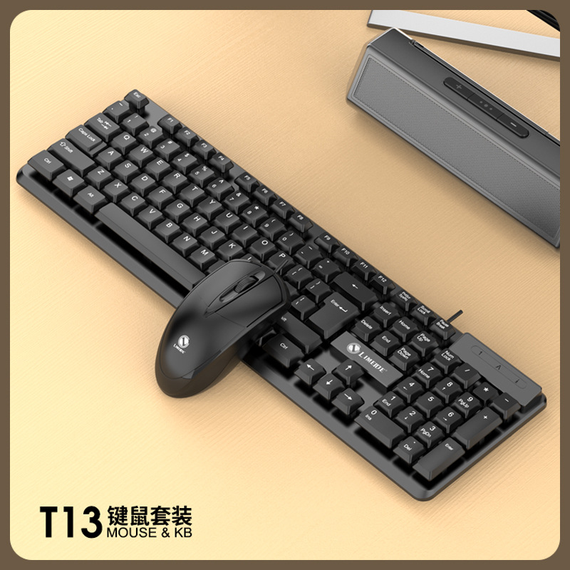 T13 COMBINÉ