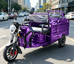 Tricycle de livraison électrique zéro émission, conforme aux normes EU L2e EEC COC, éligible aux aides à la livraison écologiques - Product Image 4