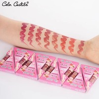 Glace rose 16 pièces Mini teinte à lèvres hydratante mignonne hautement pigmentée emballage de brillant à lèvres personnalisé boîtes en vrac de cosmétiques en gros