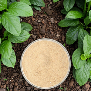 Npk <span class=keywords><strong>ปุ๋ย</strong></span>ทางใบ65% กรดอะมิโนธรรมชาติและกรดฮิวมิกควบคุมไนโตรเจนเหลวธรรมชาติสำหรับข้าวสาลีและสาหร่ายทะเล - Product Image 6