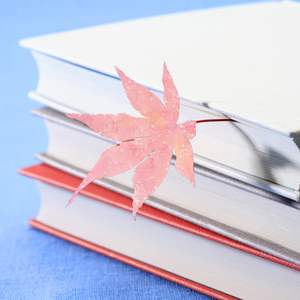 Verre cassé et étoiles superposition de stratifié holographique transparent papier autocollant <span class=keywords><strong>laser</strong></span> en vinyle auto-adhésif pour <span class=keywords><strong>imprimante</strong></span> à jet d'encre - Product Image 5