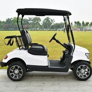 Best selling electric go kart, top brand OEM club car golf cart with affordable price