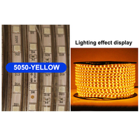 Bande lumineuse Led multicolore, 12 v, 5050 m, 100 k, 2700k, 5000K, haute luminosité, 60D, SMD 6500