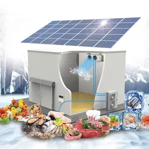 Cámara de refrigeración de-25 grados Carne/Pescado/Pollo Congelado Cámara fría Congelador Precio Gran Agricultura Sala de almacenamiento en frío