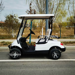 Voiturette de golf électrique 4 places personnalisable au design moderne avec tableau de bord numérique pour les centres de villégiature - Product Image 6