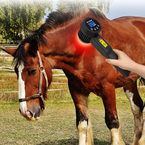Thérapie par la lumière infrarouge médicale au <span class=keywords><strong>laser</strong></span> 5W 650nm 808nm thérapie par la lumière rouge du cheval pour le soulagement de la douleur réparation des tissus Anti-inflammation - Product Image 1