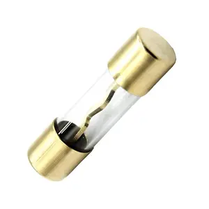 Gold Nickel Plated 10x38 5AG Glass Cartridge Type AGU Fuse for Car Audio