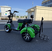 Scooter Eléctrico de Tres Ruedas, Plegable, con GPS, Batería de Litio Impermeable, Canasta Grande, Alta Capacidad de Carga 330kg, Citycoco