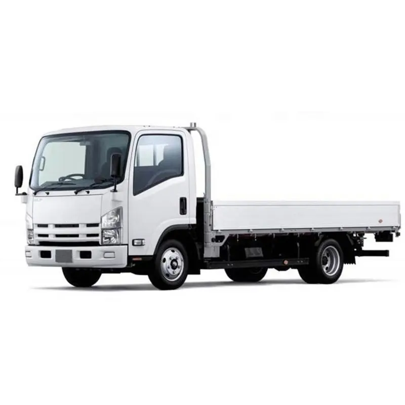 Hot Selling 4*2 3.5ton Kleine Dump Cargo Truck