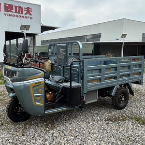 Triciclo de Carga de Servicio Pesado con Adaptabilidad Todoterreno XW150ZH-24, Motocicleta de Carga de 3 Ruedas Directo de Fábrica - Product Image 3