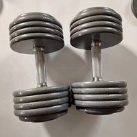 YL-A010 Haltères peints par cuisson, Vente directe usine, Équipement de musculation très demandé