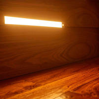 Promotion : Lumière LED murale rechargeable de 20 cm avec détecteur de mouvement, lumière de nuit sous armoire, température de couleur 6000K/3500K pour salon