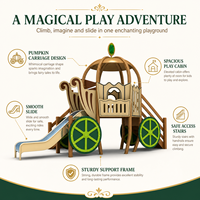 Équipement de terrain de jeux extérieur commercial, ensemble de toboggans pour enfants personnalisés pour écoles, parcs, maternelles, parcs d'attractions