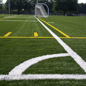 FI-FA được phê duyệt chất lượng tổng hợp cỏ cho bóng đá lĩnh vực - Product Image 5