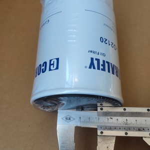 Filtre à huile moteur DIESEL, filtre à lubrifiant 156072180 156072120 156072121 1561389103 1561389102 P505956 pour HINO - Product Image 4