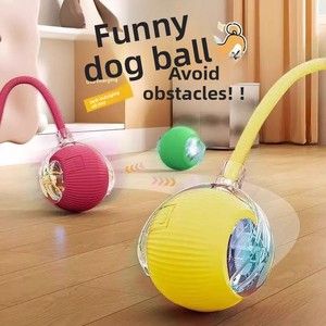 Pelota Eléctrica Inteligente <span class=keywords><strong>para</strong></span> <span class=keywords><strong>Gatos</strong></span> <span class=keywords><strong>con</strong></span> Cuerda, Recargable por USB, Juguete Autodesplegable <span class=keywords><strong>para</strong></span> <span class=keywords><strong>Gatos</strong></span> de Interior, Diseño Duradero Anti-Mordidas, Venta al Por Mayor - Product Image 5