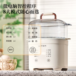 Wiper Mini <b>Electric</b> Food <b>Steamer</b> 1-Layer Microcomputer Control Auto-Off Home Kitchen Use - Product Image 1