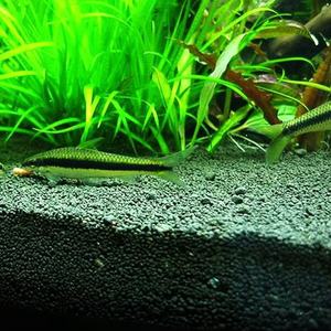 Hoge Kwaliteit <span class=keywords><strong>Aquarium</strong></span> Substrat Water Plant Bodem - Product Image 4